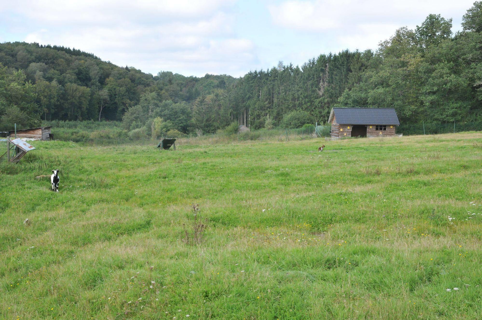 Le Bochetay Vila Somme-Leuze Exterior foto